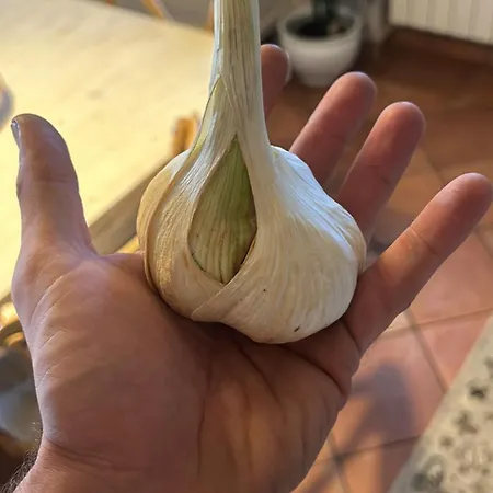 Tita Privatunterkunft Lamporecchio
